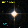 HD  24044