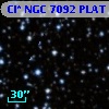 Cl* NGC 7092   PLAT    3447