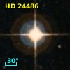 HD  24486