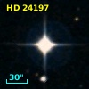 HD  24197
