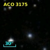 ACO  3175