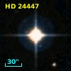 HD  24447