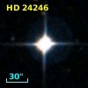 HD  24246