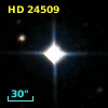 HD  24509