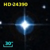 HD  24390