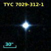 TYC 7029-312-1