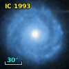 IC 1993