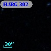 FLSBG 302