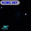 FLSBG 307