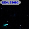 LEDA   75000