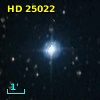 HD  25022