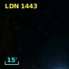 LDN 1443