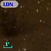 LDN 1464