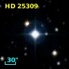 HD  25309