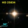 HD  25834