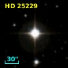 HD  25229