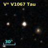 V* V1067 Tau