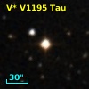 V* V1195 Tau