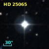 HD  25065