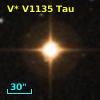 V* V1135 Tau