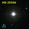 HD  25556