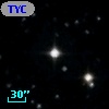 TYC 1813-1193-1