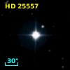 HD  25557