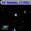 Cl* Melotte   22   PELS     169