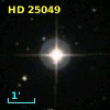 HD  25049