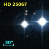 HD  25067