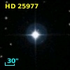 HD  25977