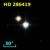 HD 286419