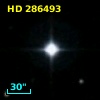 HD 286493