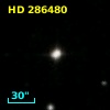 HD 286480