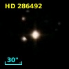 HD 286492