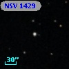NSV  1429
