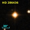 HD 286436