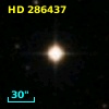 HD 286437