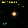 HD 286439