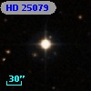 HD  25079