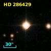 HD 286429