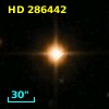 HD 286442