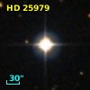 HD  25979