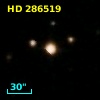 HD 286519