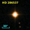 HD 286537