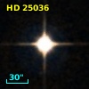 HD  25036