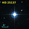 HD  25137