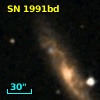 SN 1991bd