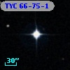 TYC   66-75-1
