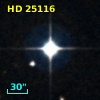 HD  25116